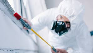 Best Pest Prevention Services  in Lynchburg, OH